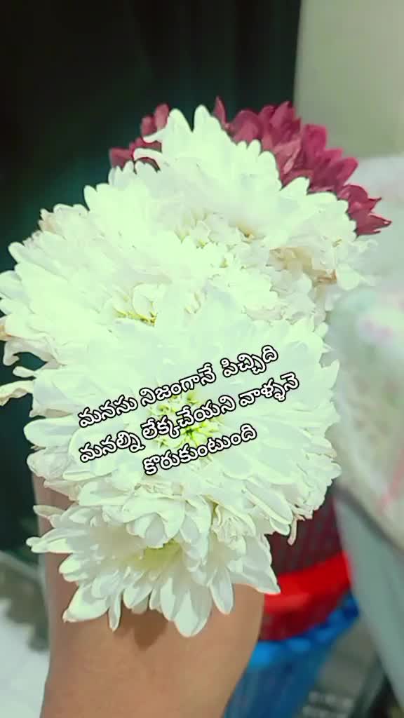 @Bujji