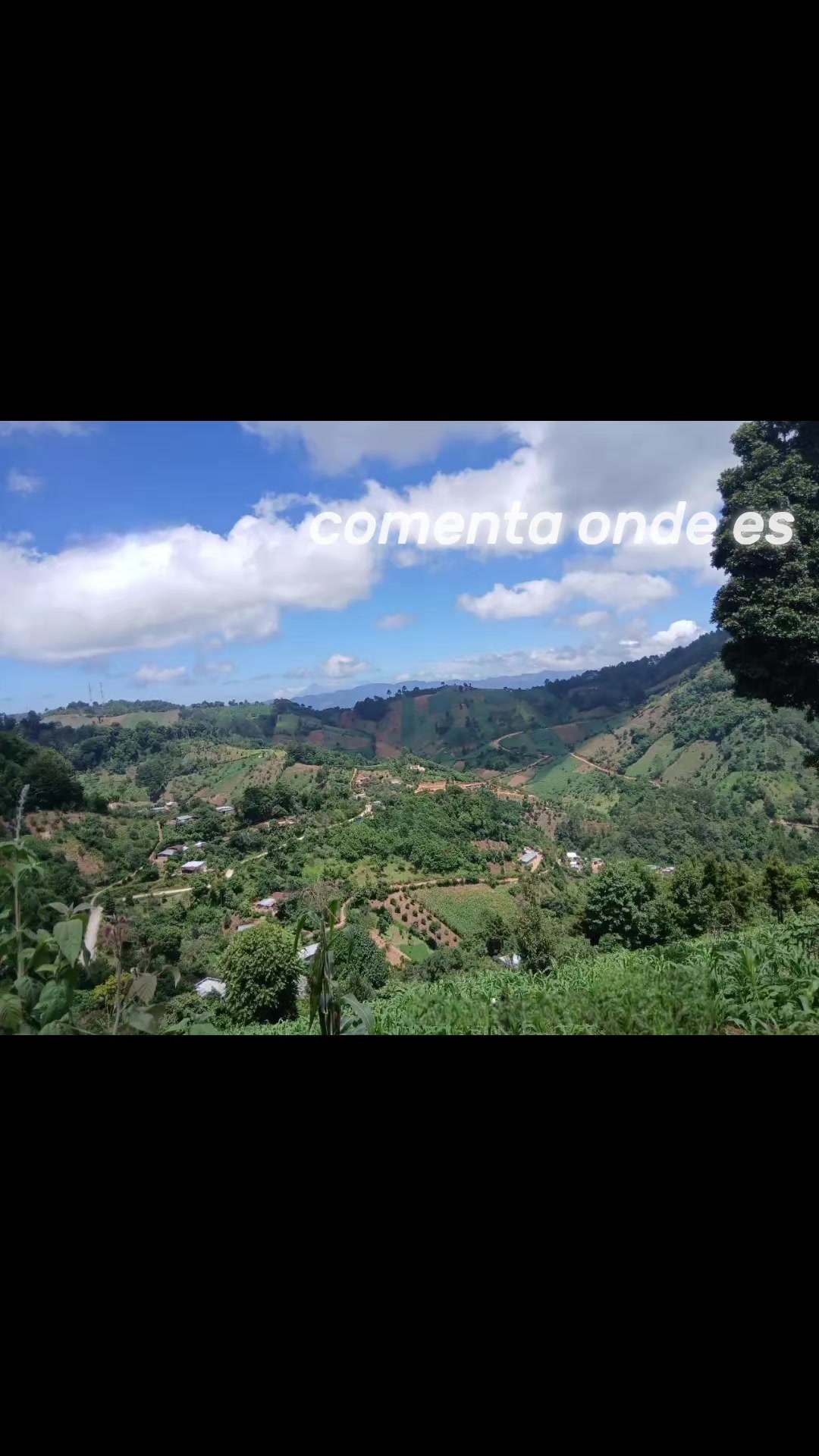 @EL PRIMO_OFICIAL_GT