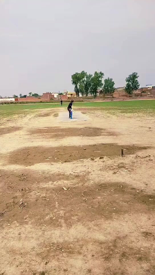 @03130519250