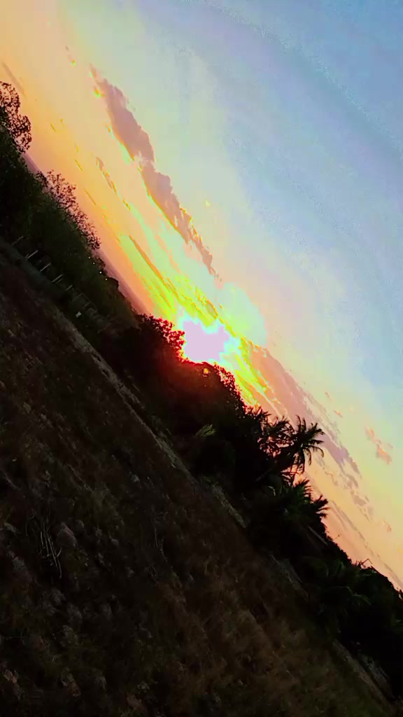 @samilesantos591