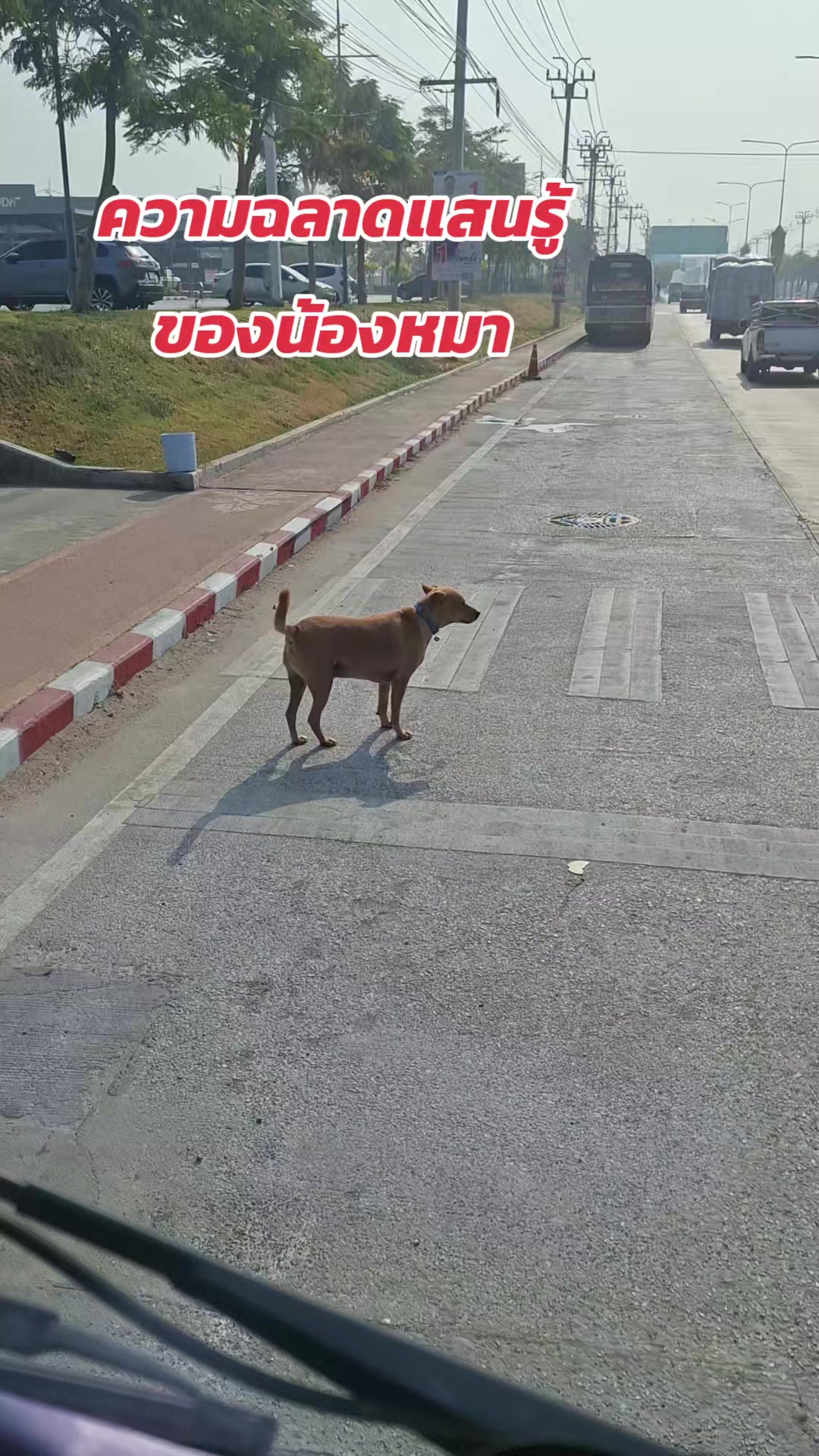 @นิรัญ (ช่องหลัก)