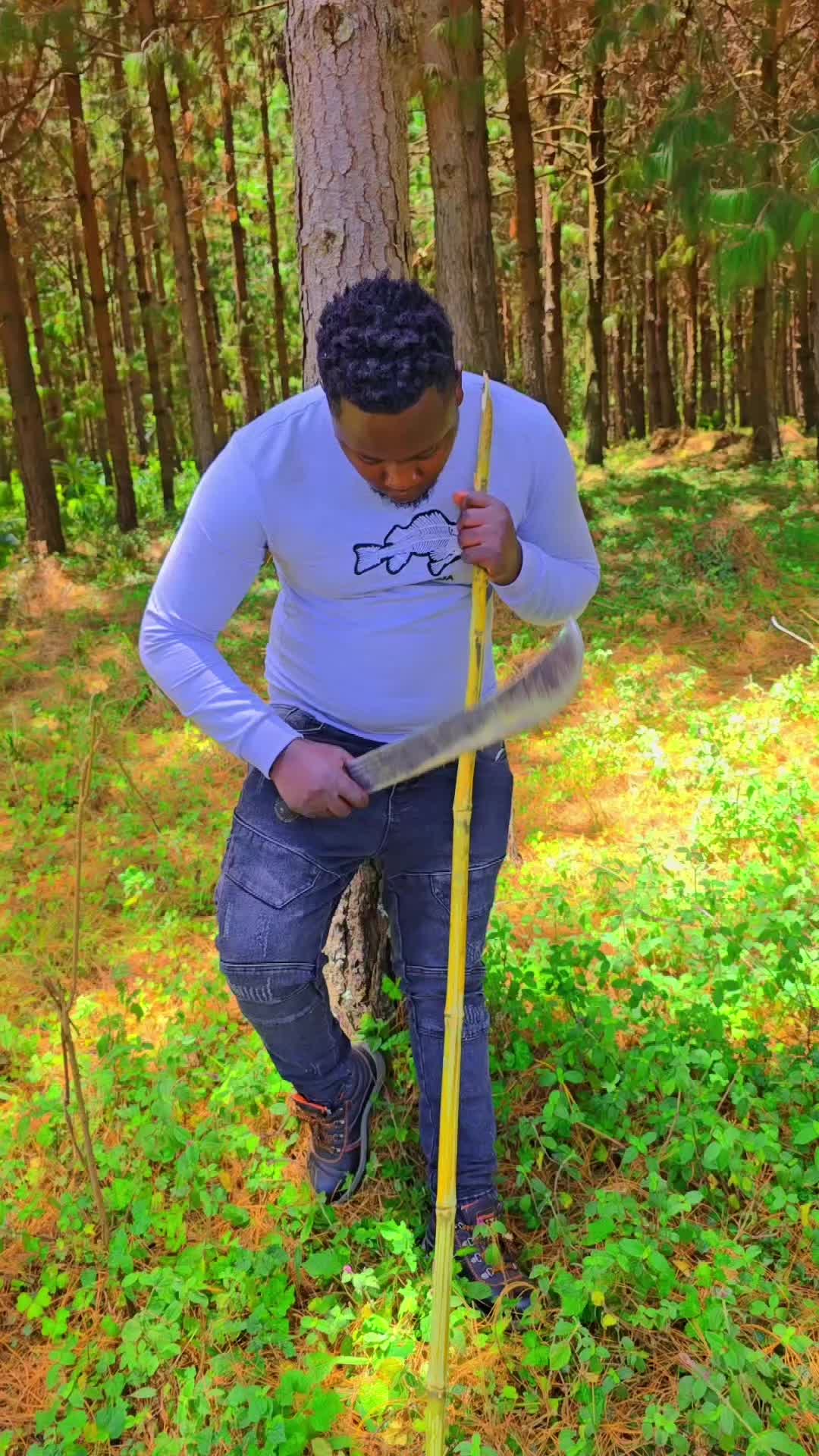 @PAULITODAIRYFARM 🇰🇪🇹🇿🇺🇬
