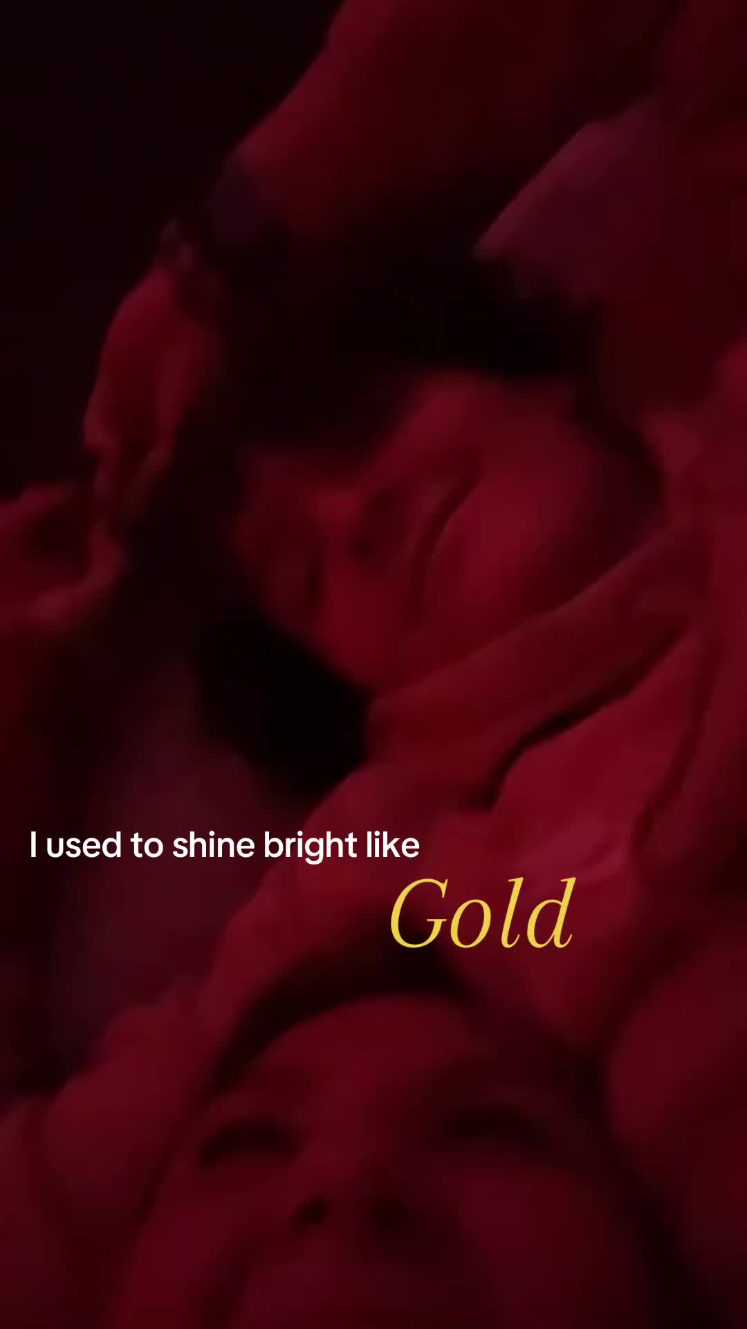 @HamSammich
