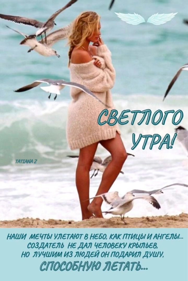 @Anjo👼♒️