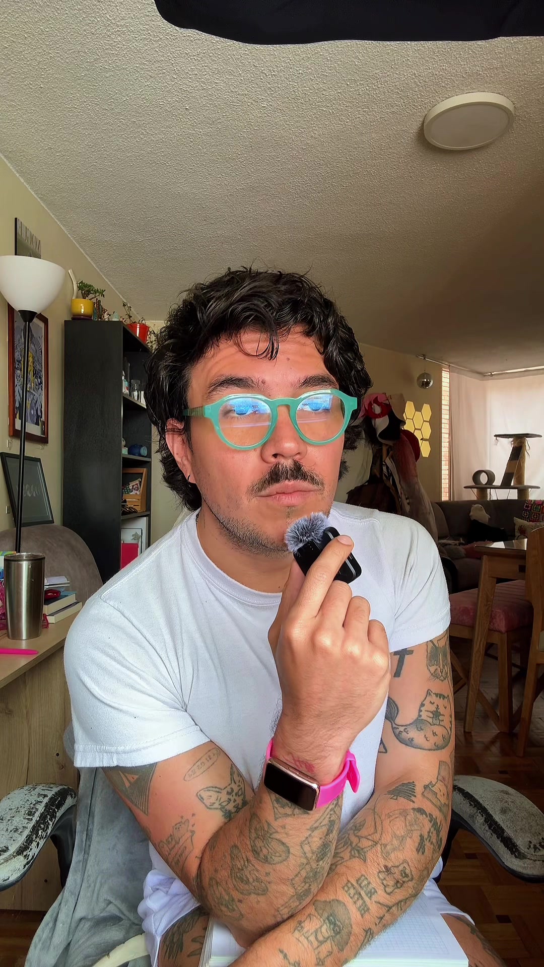 @Mulán Camilo