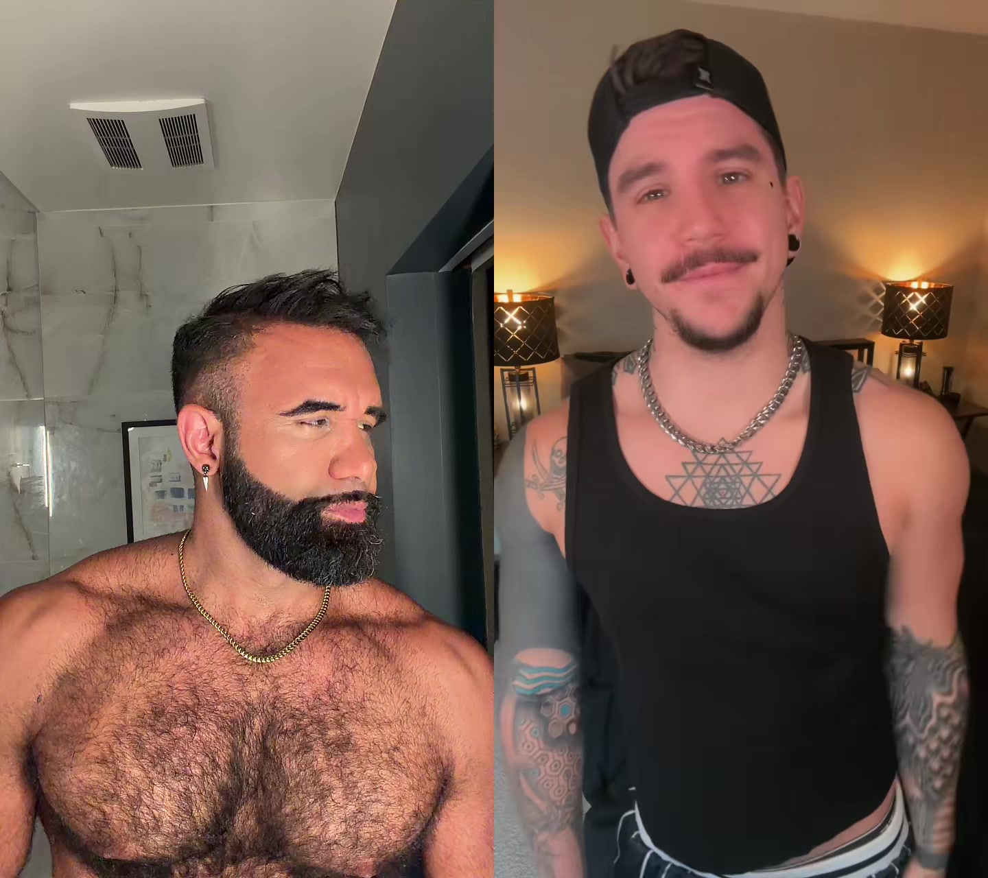 @Persian Wolf 🐺