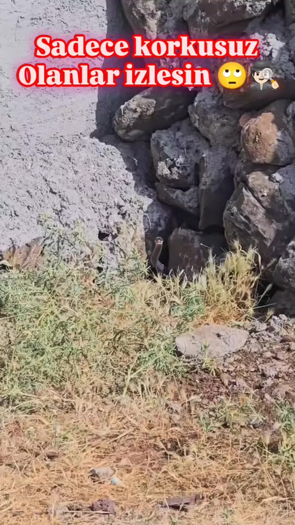 @doğa hayranı