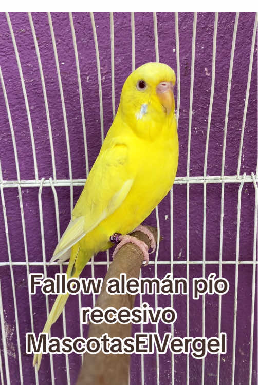 @Saul Briones