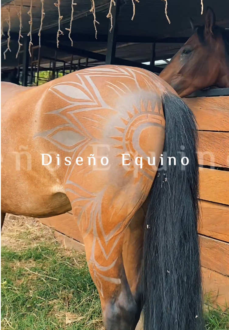 @💈🐴Huelgam_ty