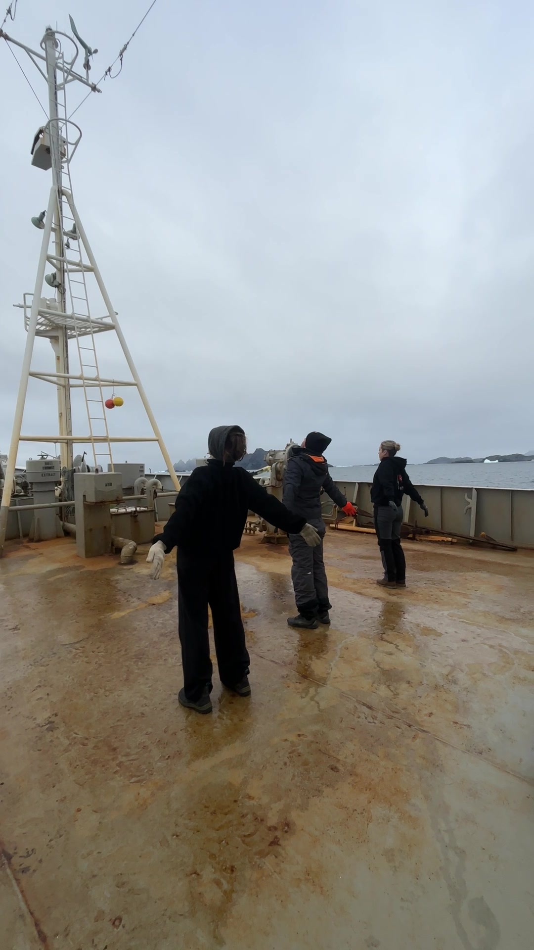 @Captain Paul Watson Foundation