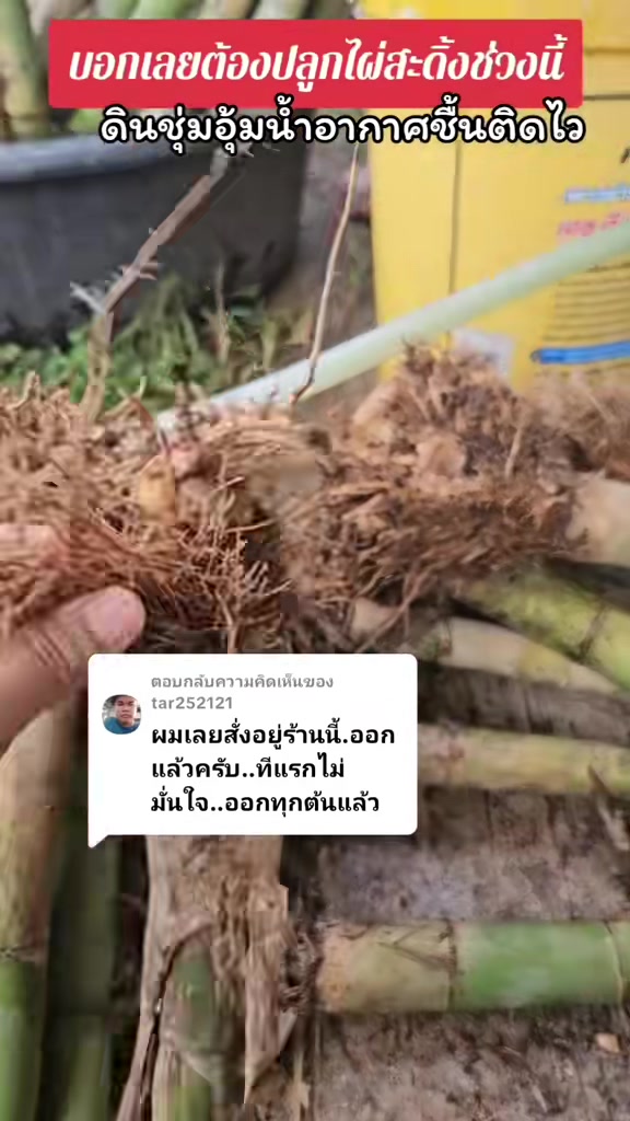 @นัดดาชอป