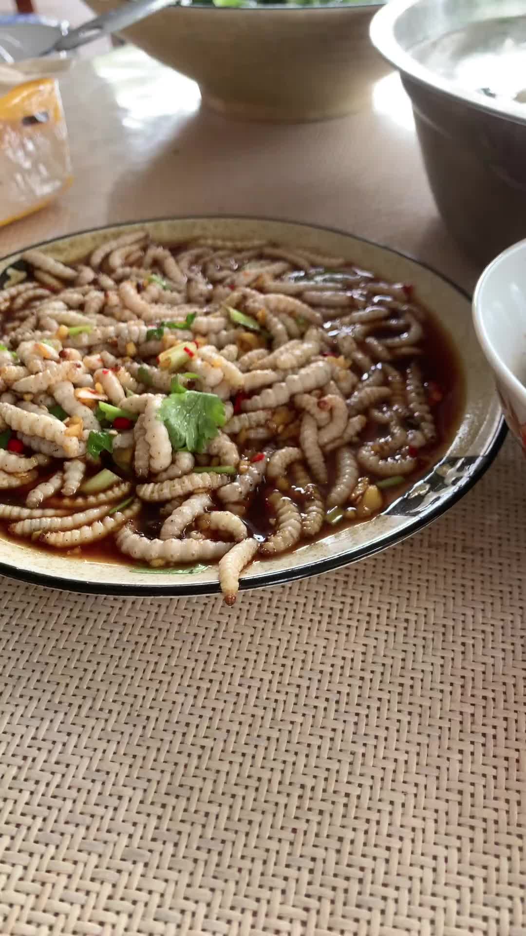 @法  務  部  矯  歪  署