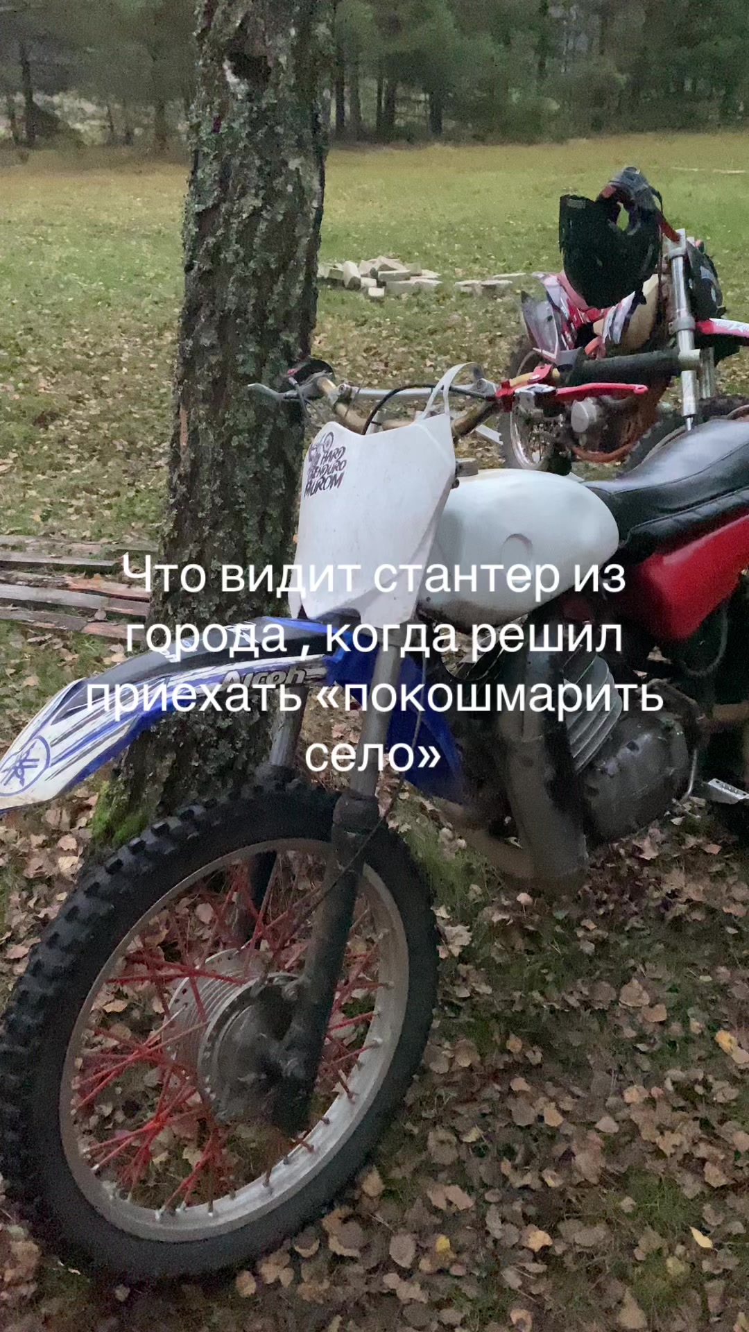 @čzvod