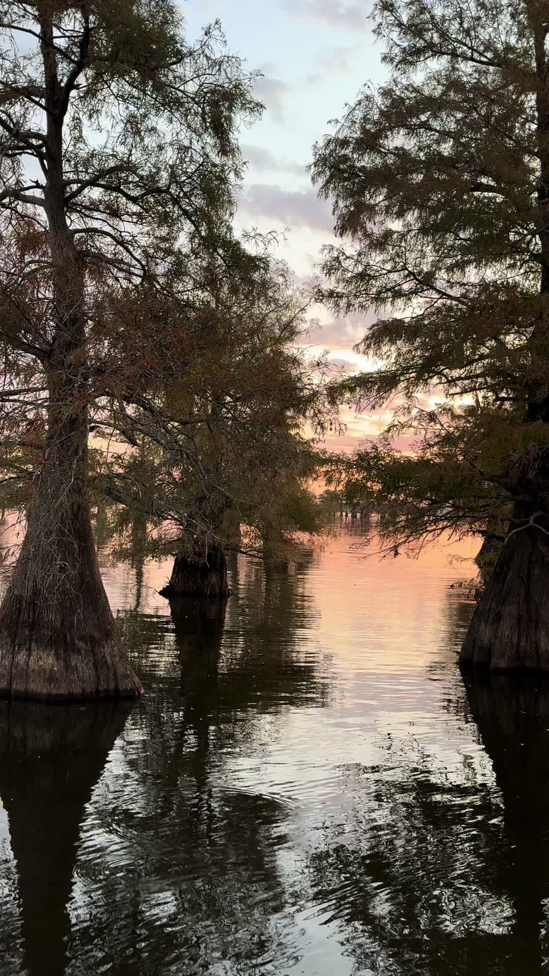 @Caddo Lake FirstCastCabin