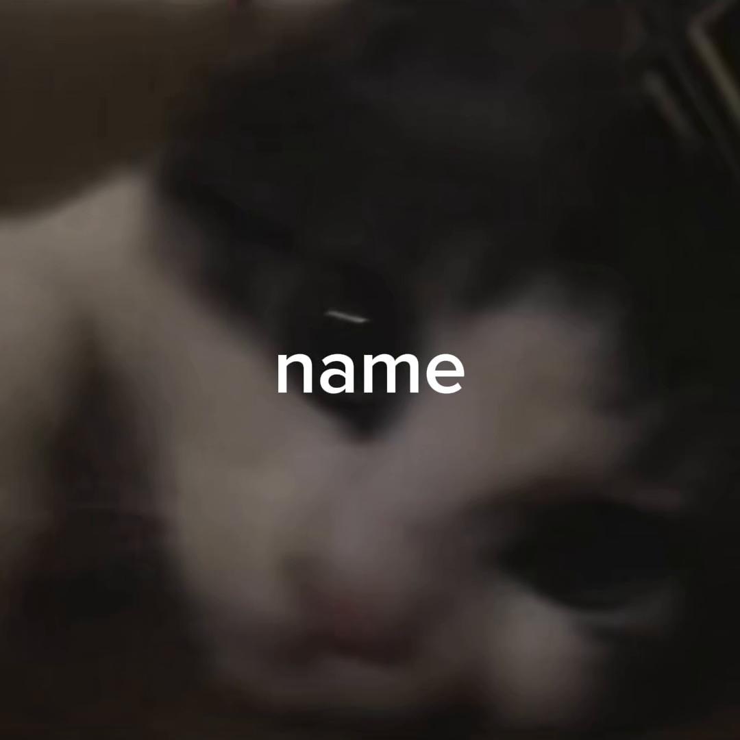 @ze66y