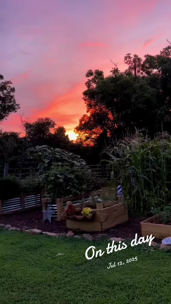 @jacksonridgefarm