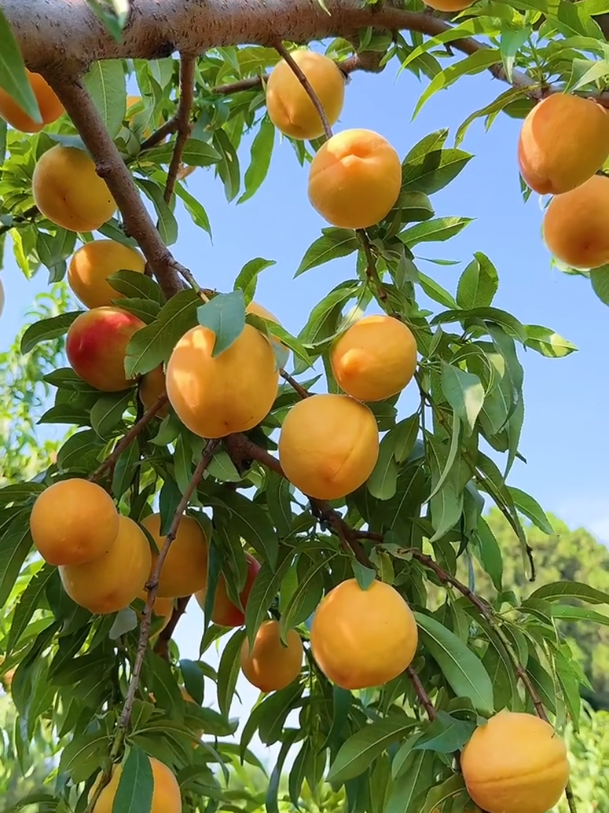 @𝓂𝓎 𝒷𝓁𝑜𝑔
