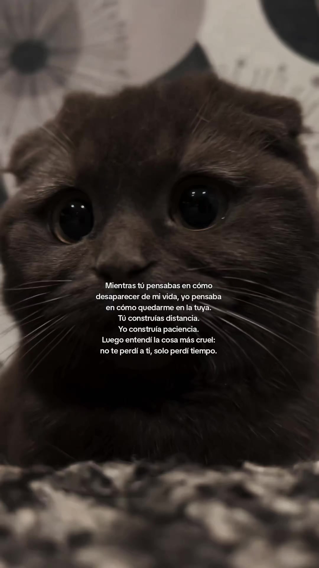 @crissparker