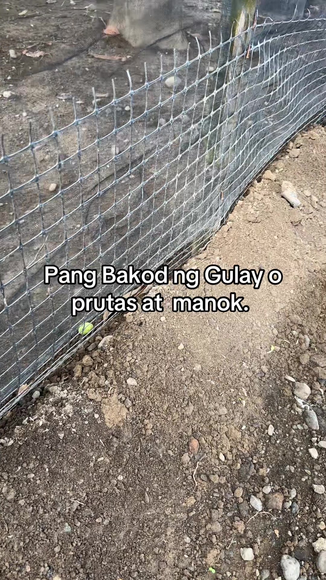 @BOSS MADAM HANNAH