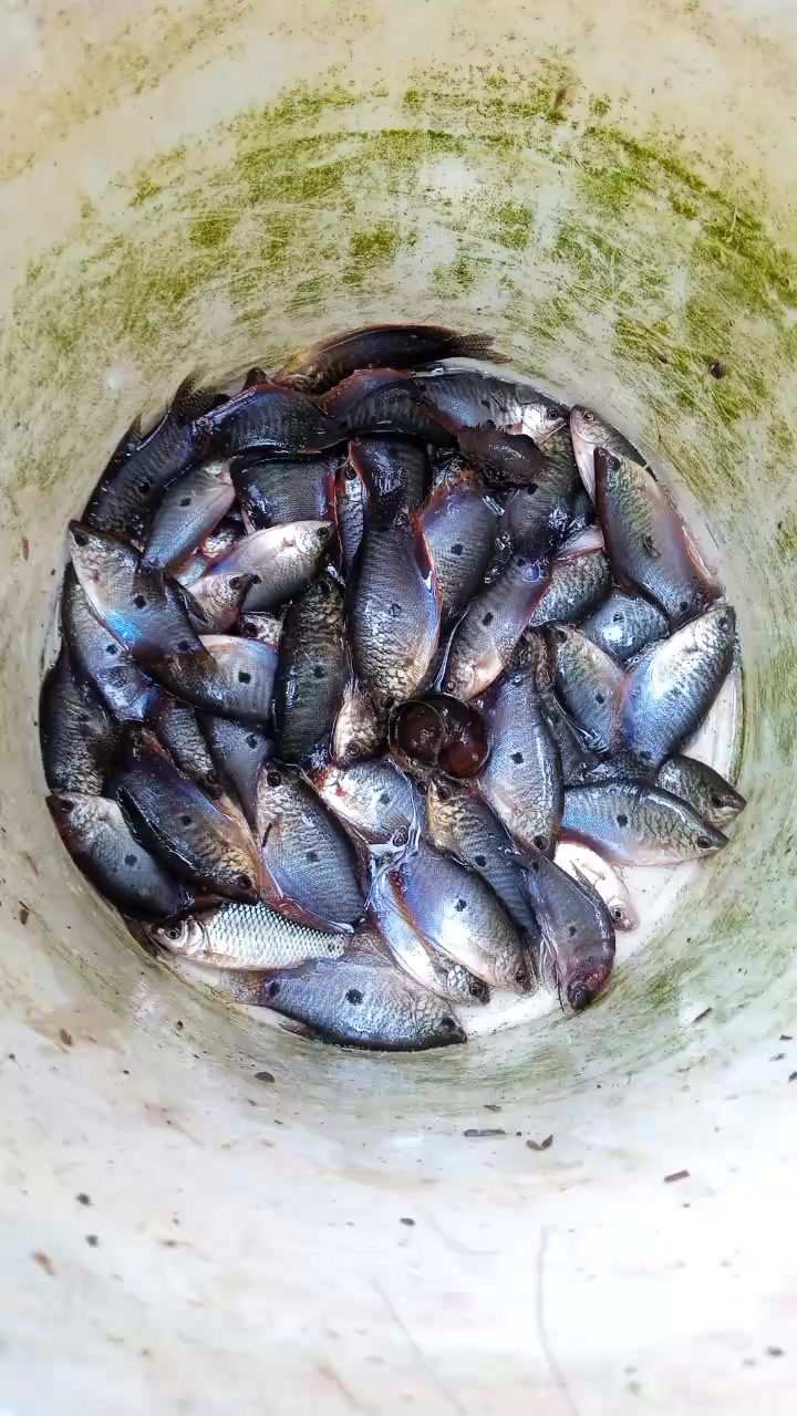 @Nguyễn Văn Hiền