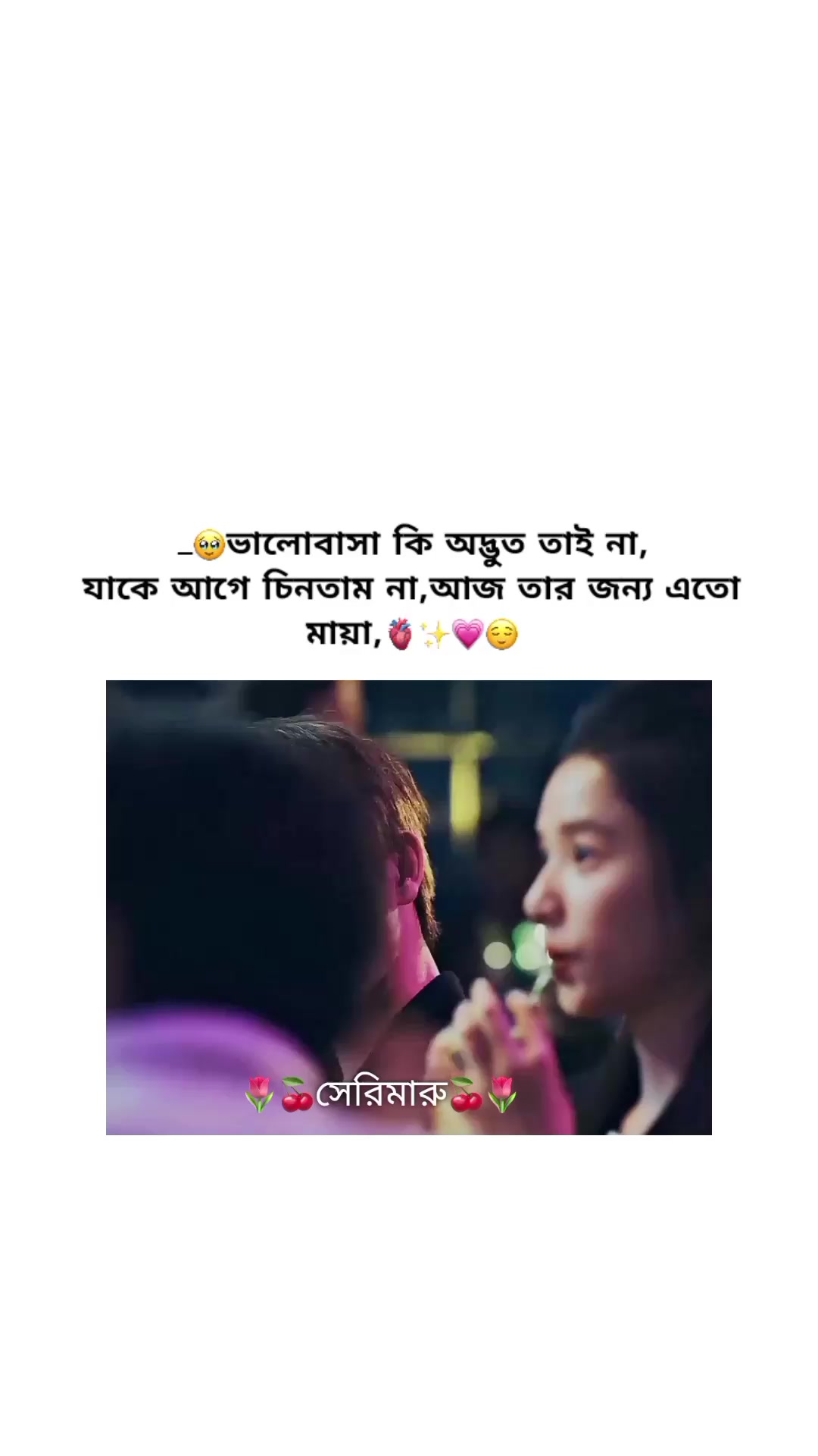 @🌷🍒সেরিমারু🍒🌷