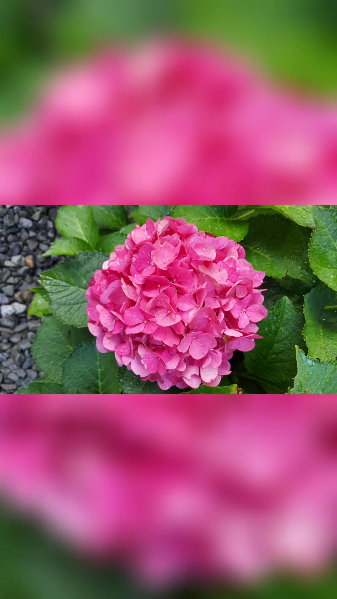 @QTZONE333