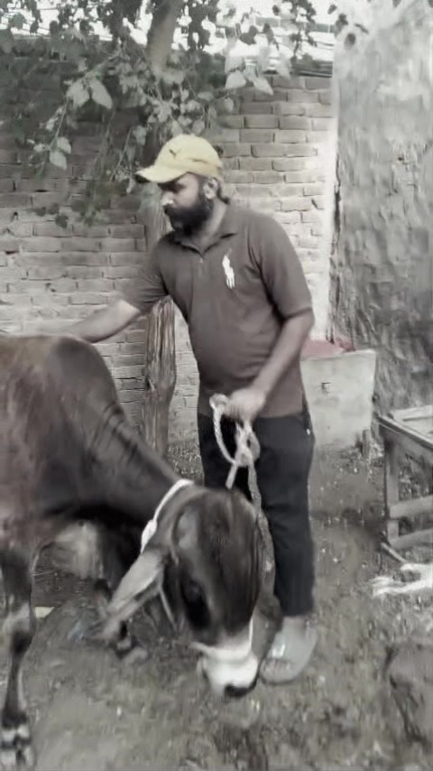 @Saqib Goraya