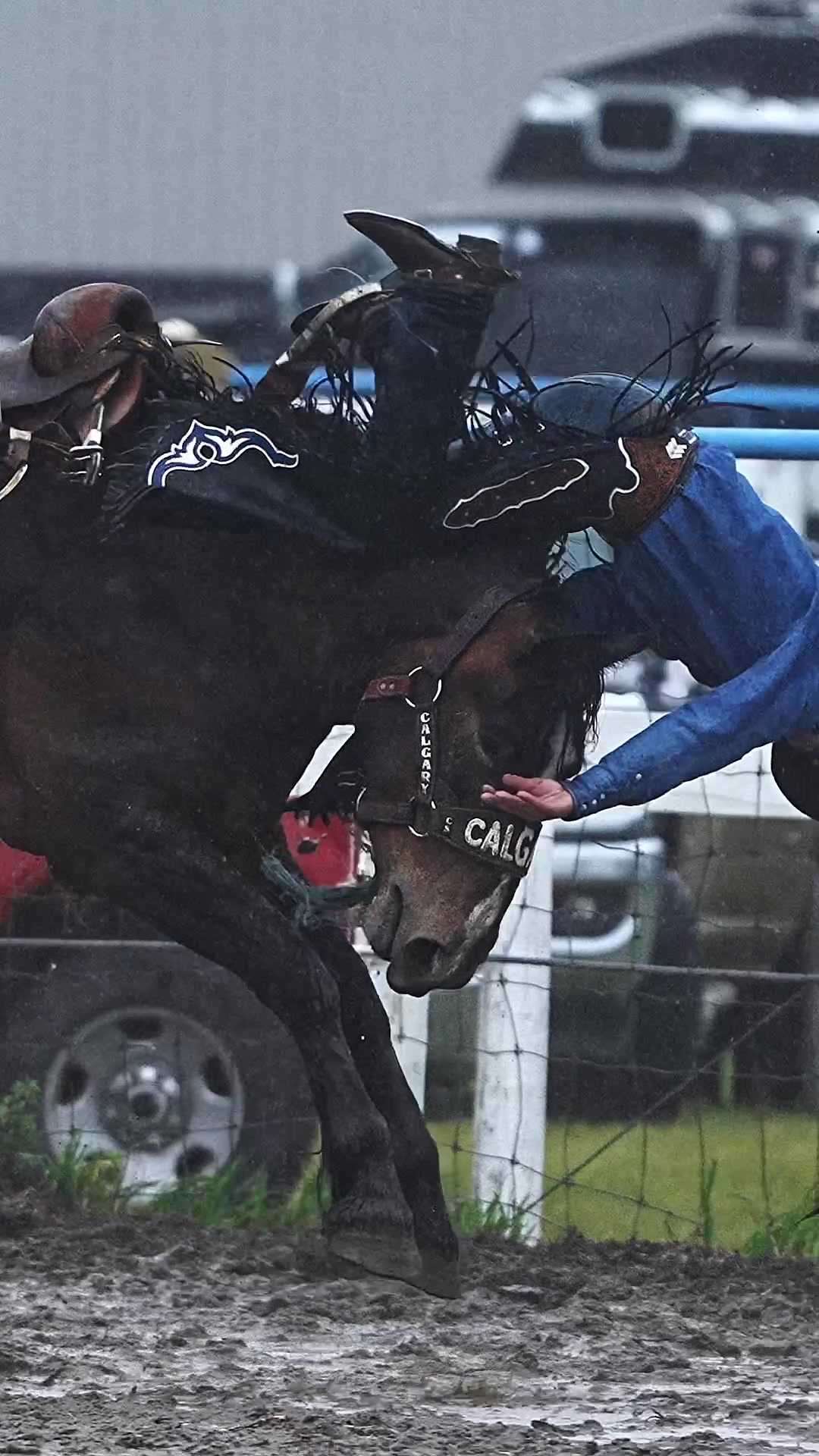@Hanginghorses