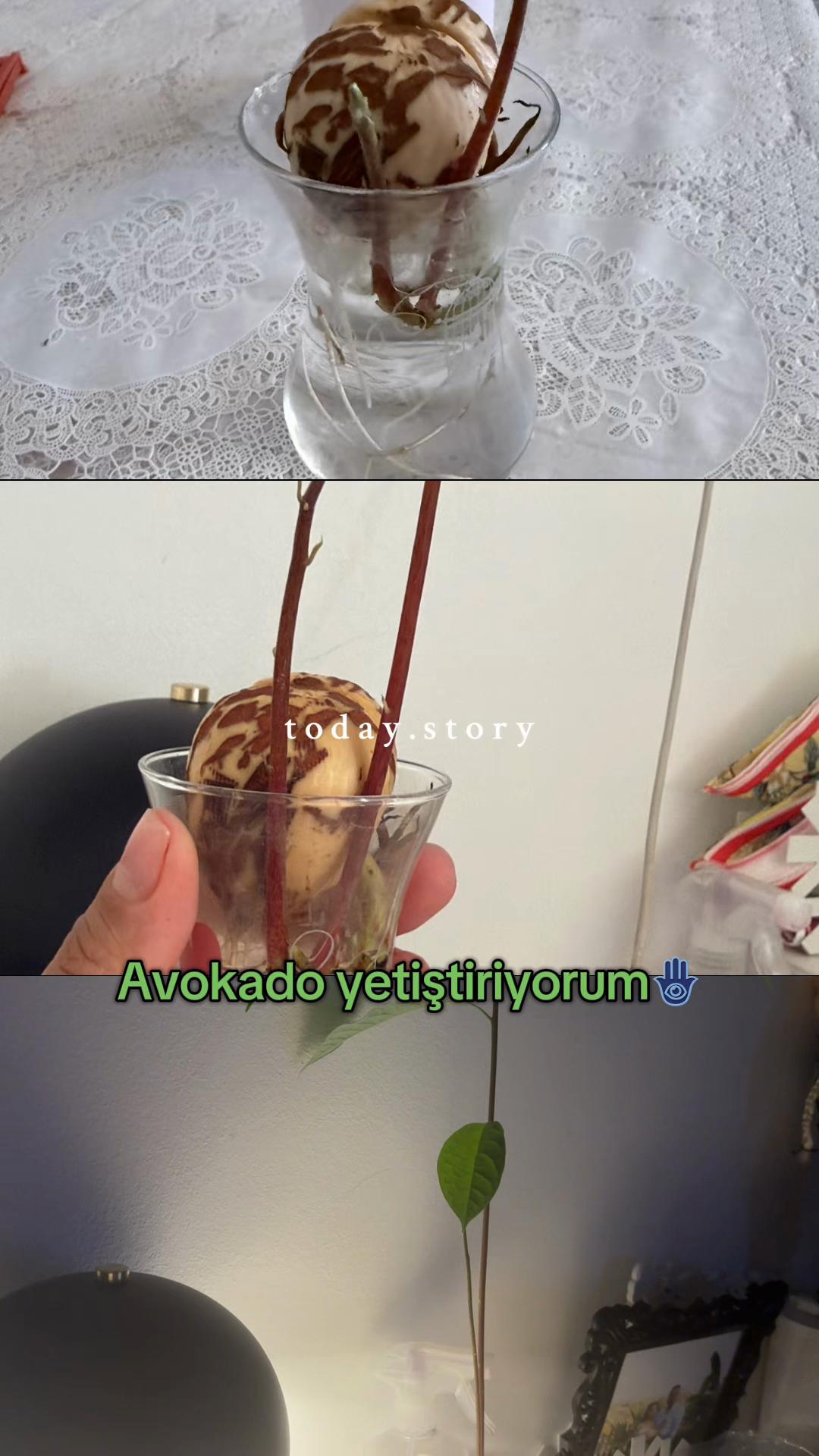 @🦁@sedasaritaş 🪽