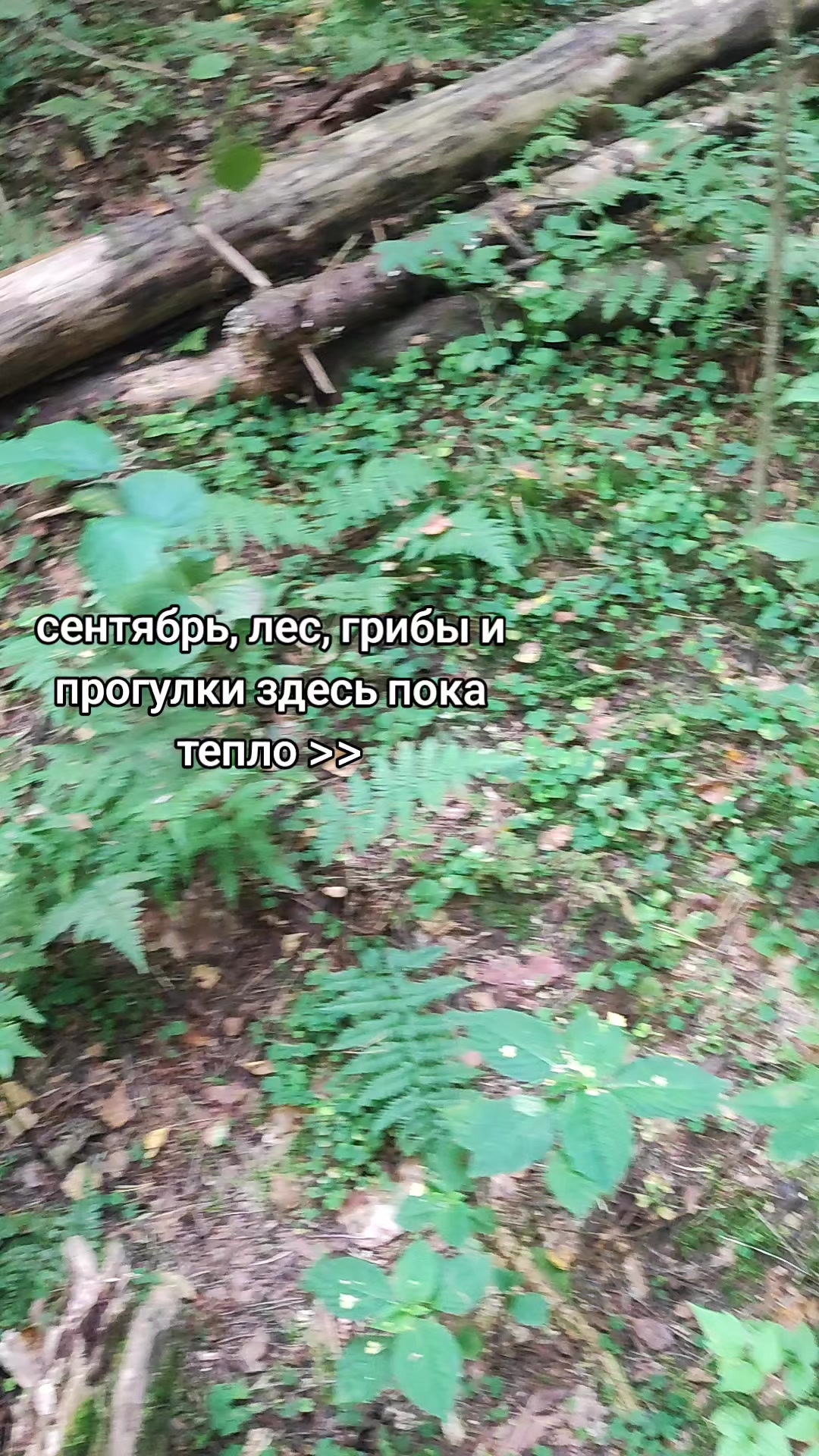 @😨