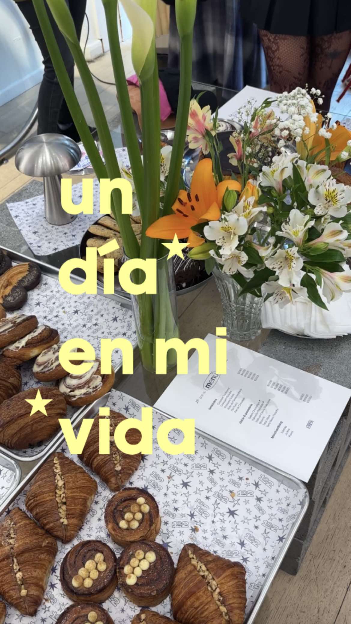 @catalina ⋆˚✿˖° 𐙚