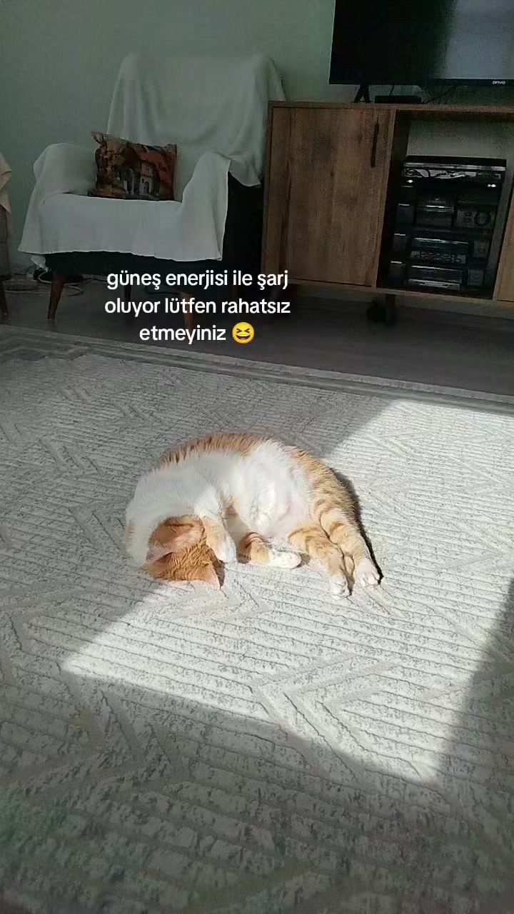 @KAVUN
