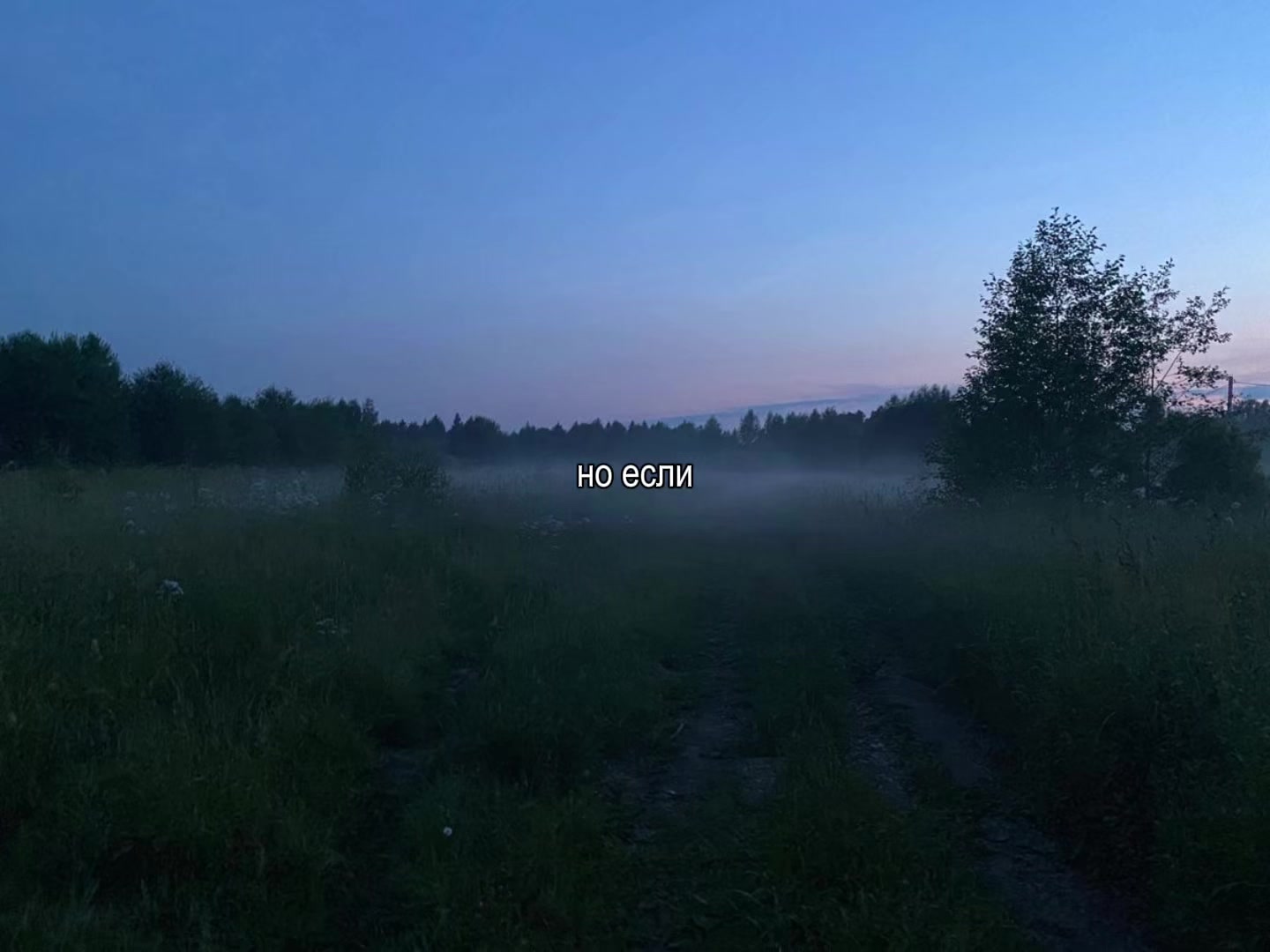 @оляска
