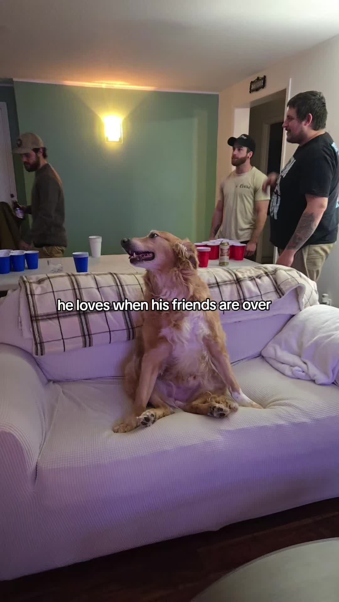 @LINDA