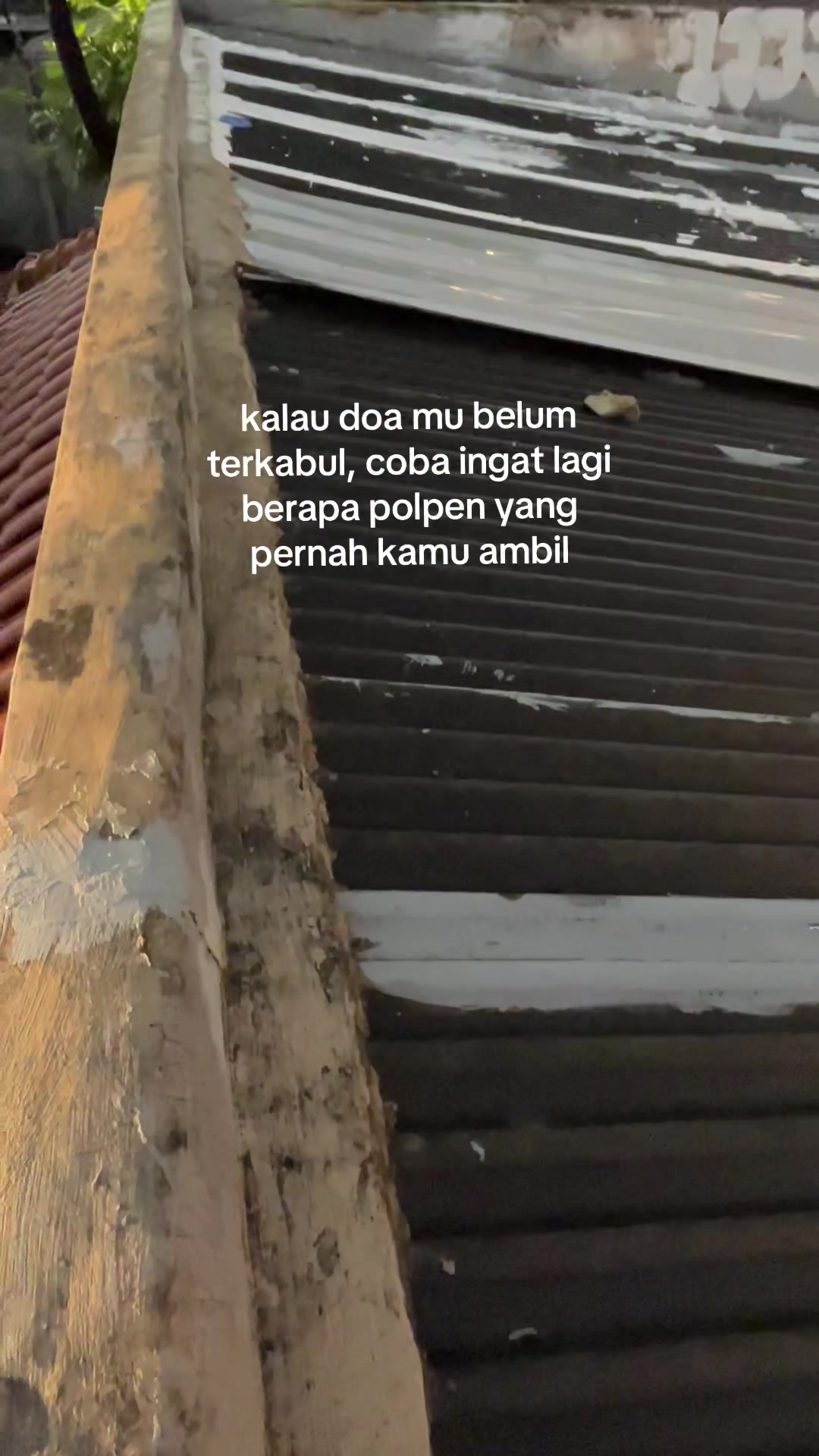 @sepaanj