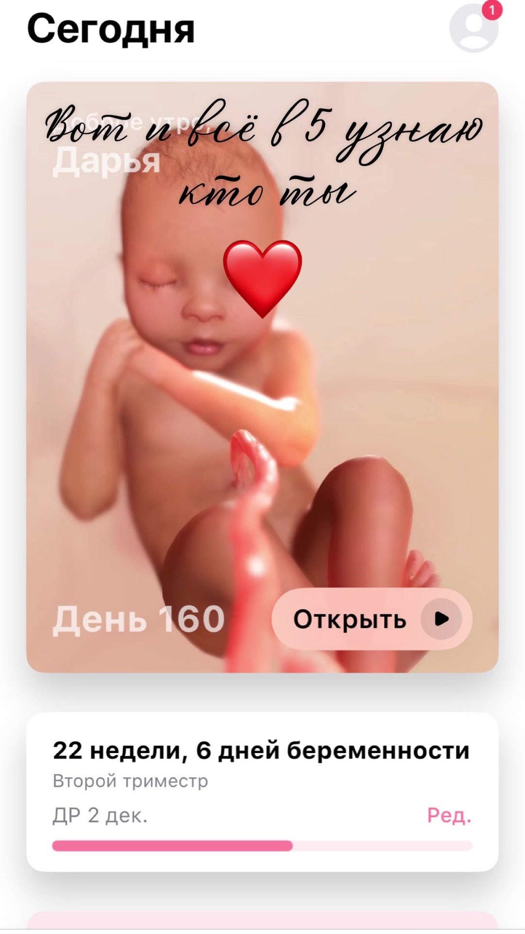 @dasha