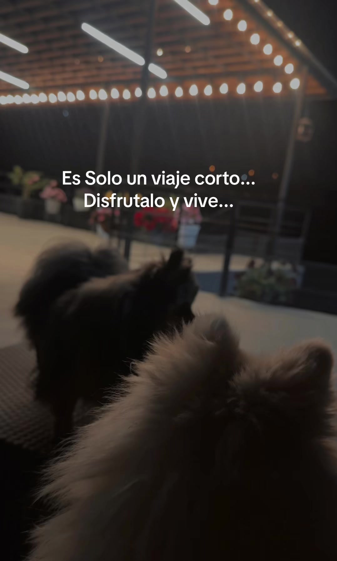 @Claudia