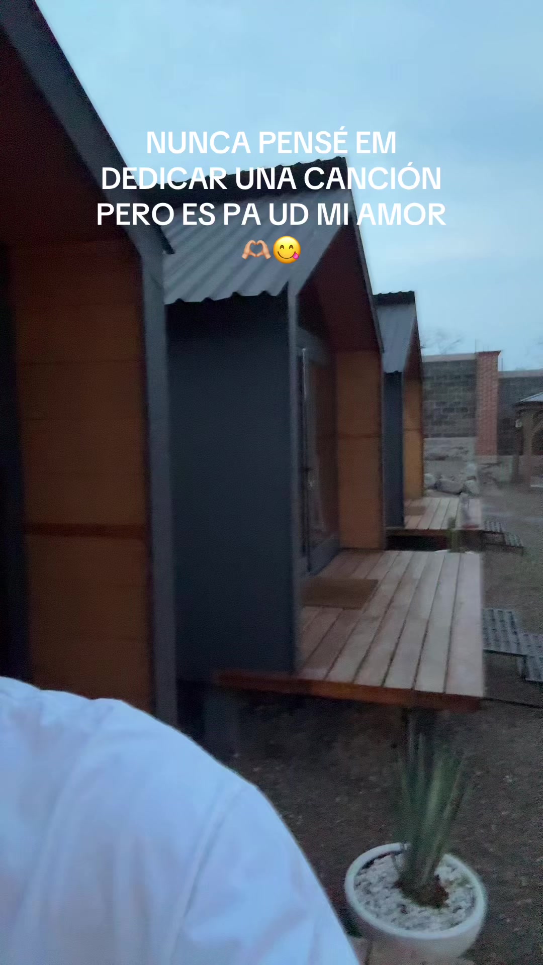 @tryzty__