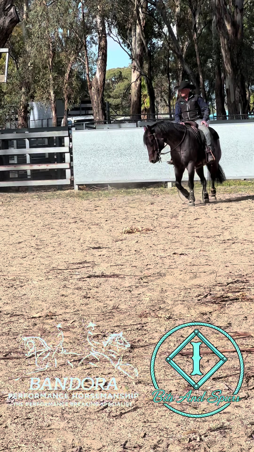 @Bandora_Horsemanship