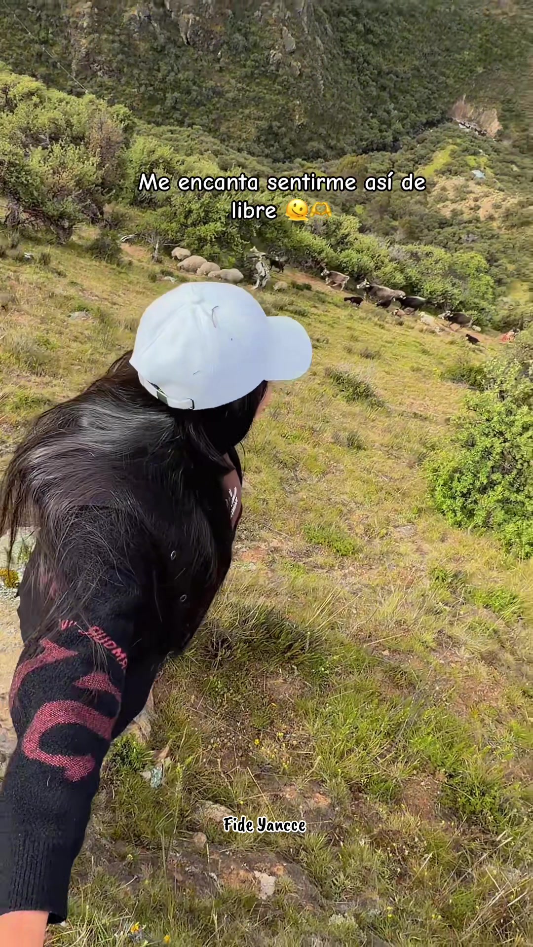 @🌳𝓕𝓲𝓭𝓮 𝓨𝓪𝓷𝓬𝓬𝓮🌳