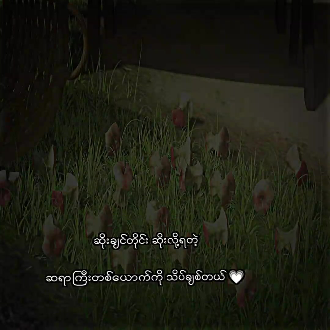 @๐น๐๐ ๐๐ก๐ข๐ง