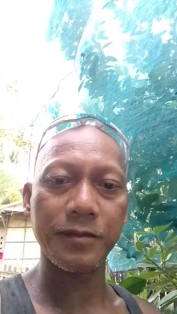 @Kamegs