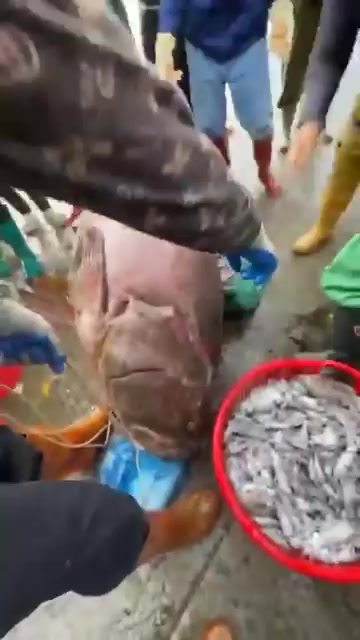 @Fanpage Quảng Ninh 4.0