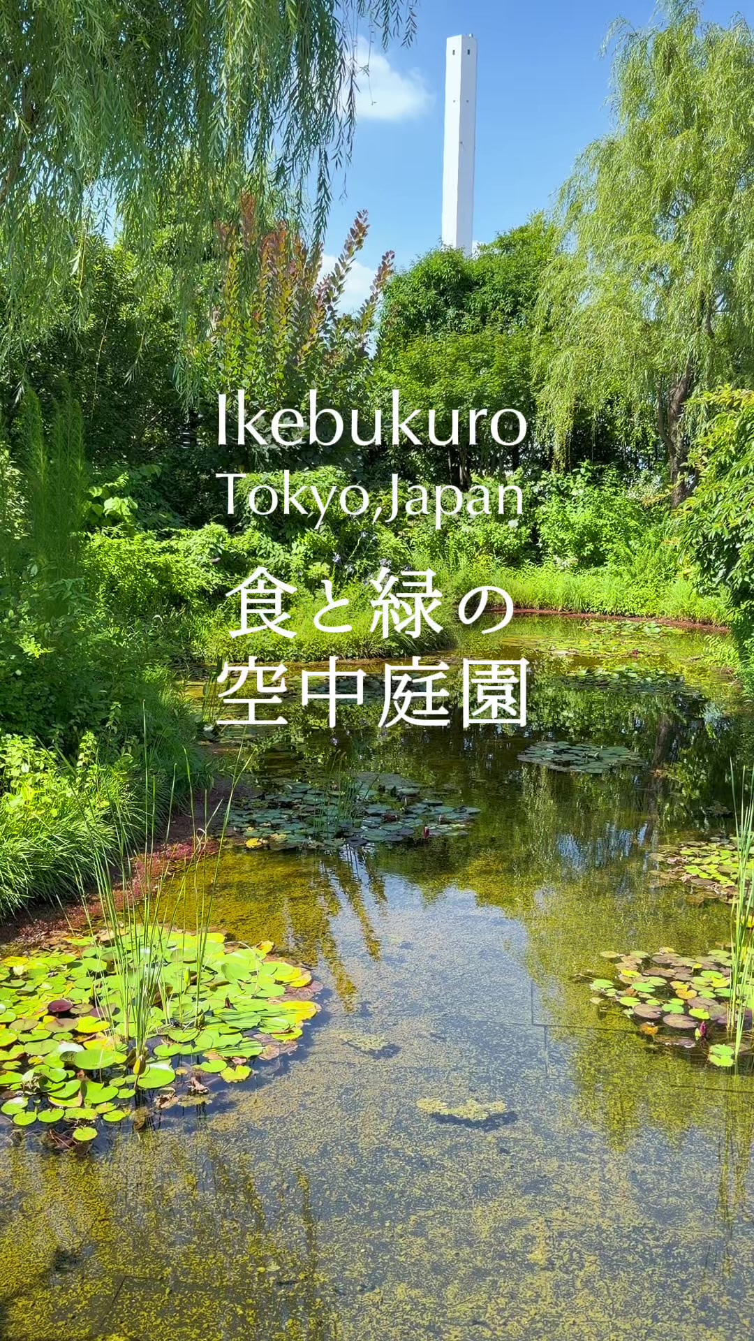 @ã®ããð®Norayo
