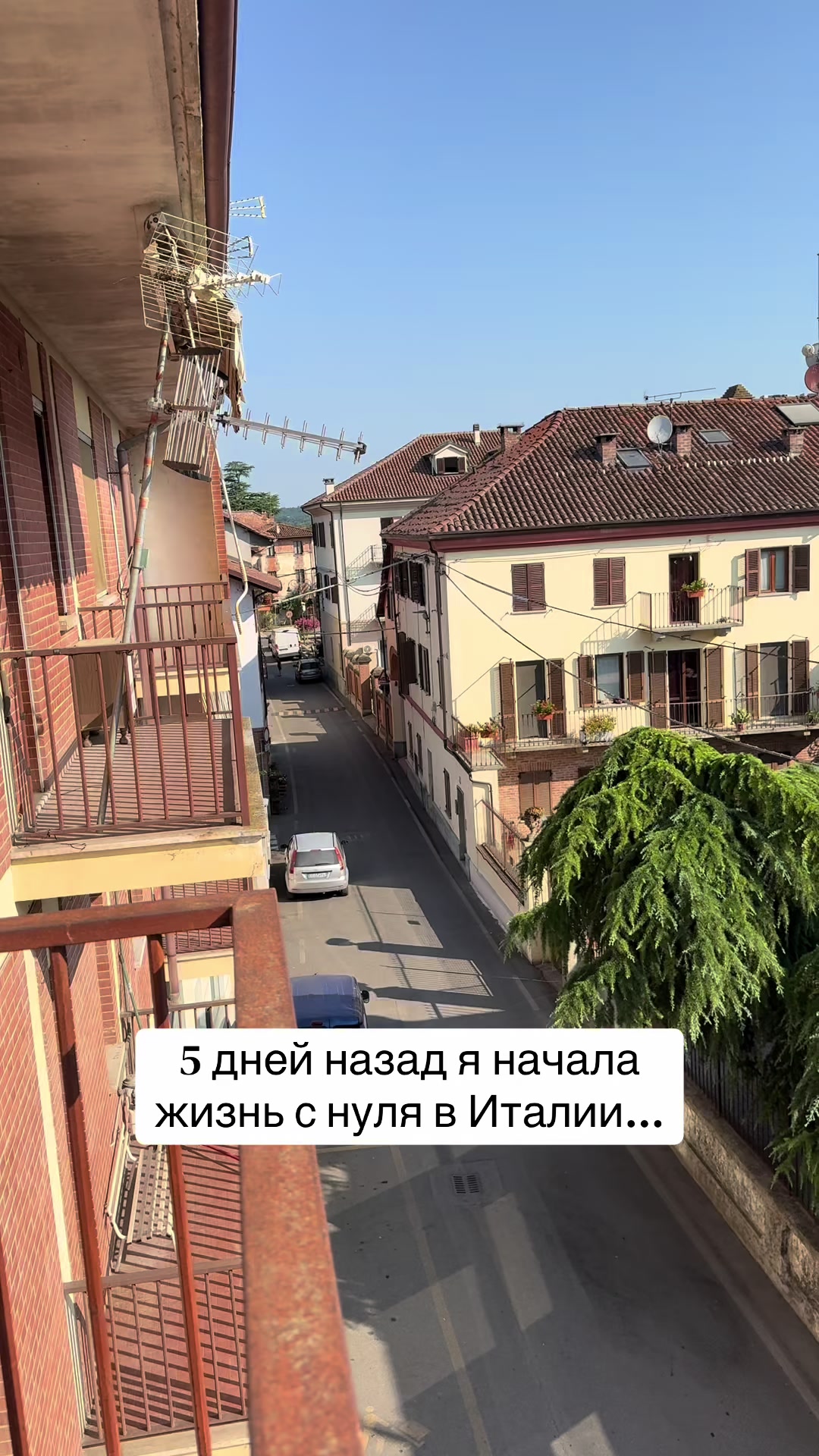 @alfochka_6