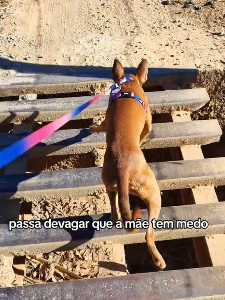 @Belinha e tiamara
