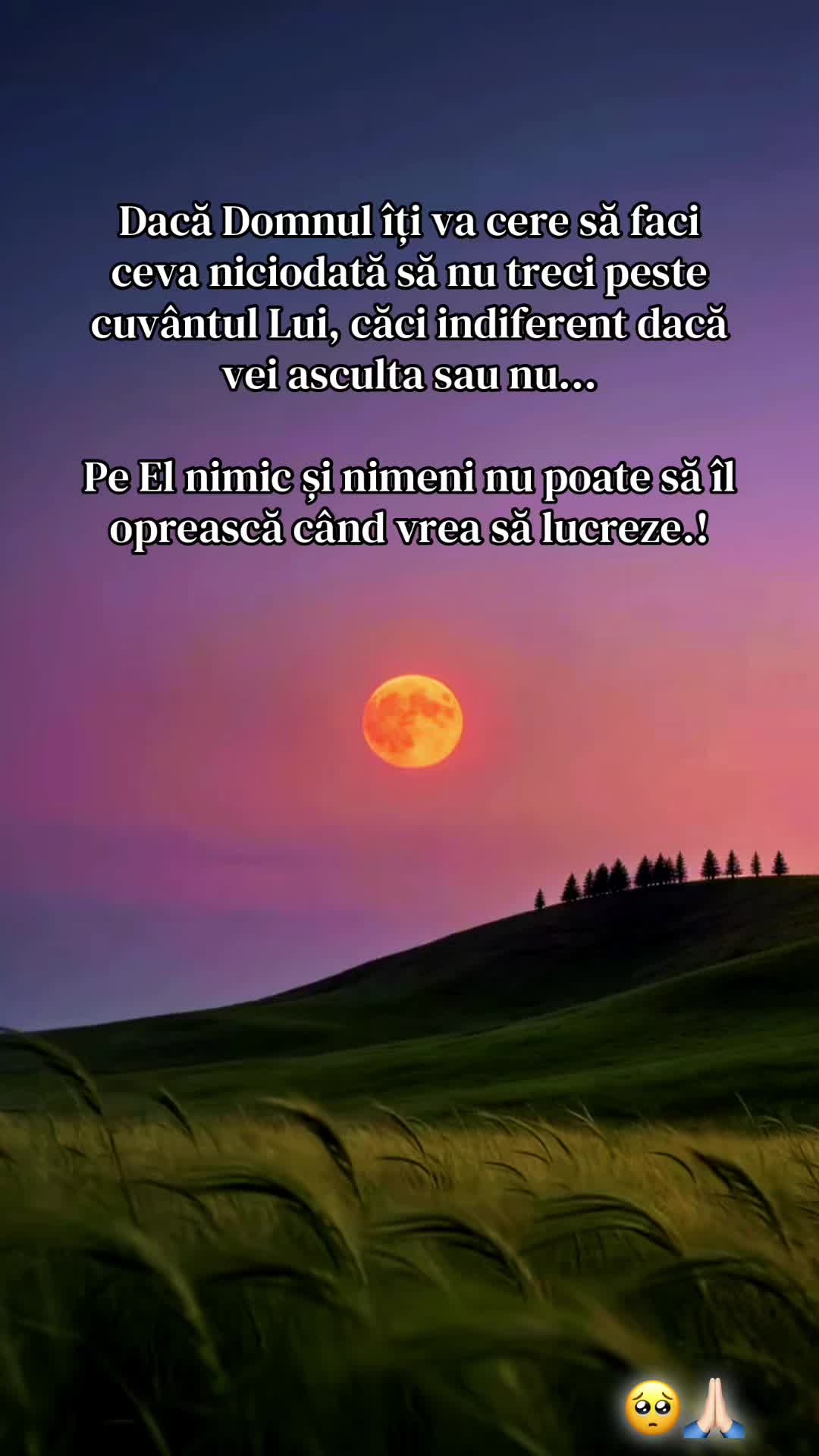 @🌸🕊️𝓡𝓮𝓫𝓮𝒄𝒂🕊️🌸