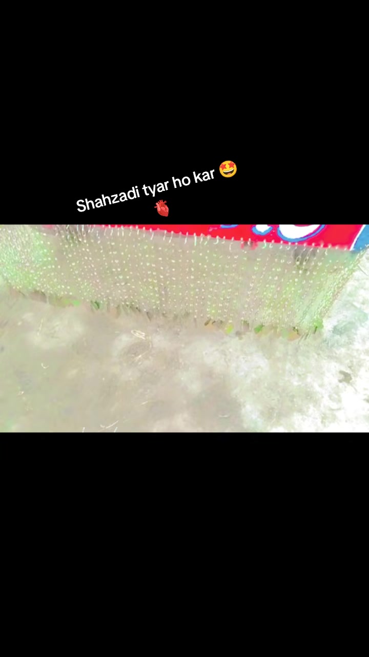 @ملک ارسلان اعوان ⚜️☠️