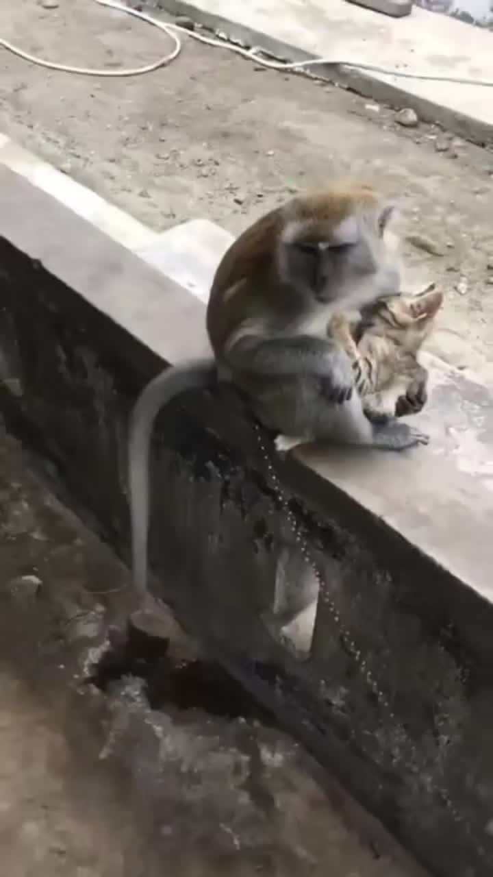 @izuanzainal