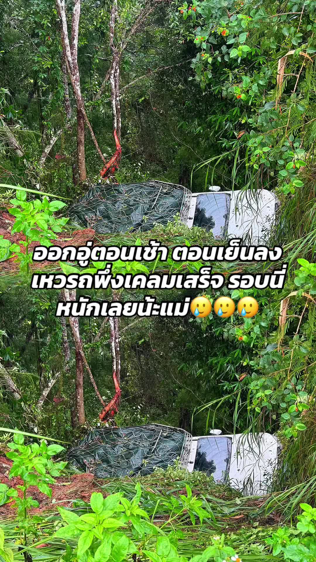 @Bang Don👳🏼♀️